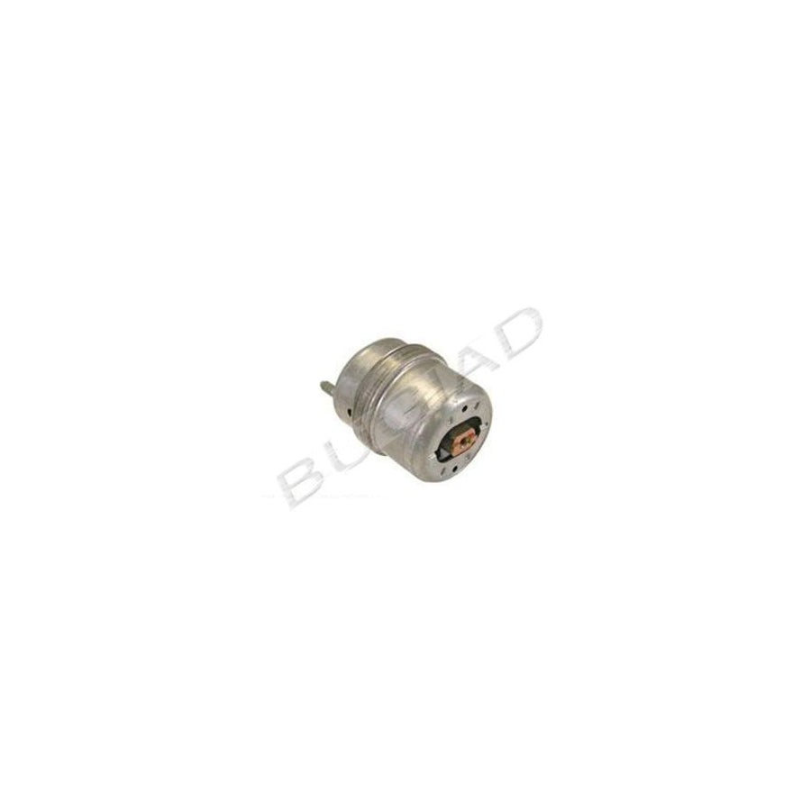 BUGIAD Bsp20822 Engine Mounting for VW Transporter