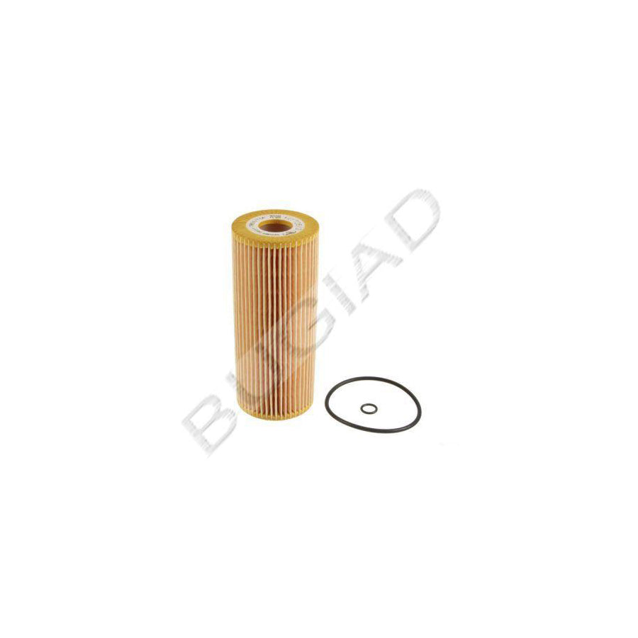 BUGIAD Bsp20851 Oil Filter