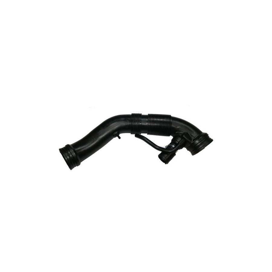BUGIAD Bsp20886 Intake Pipe, Air Filter