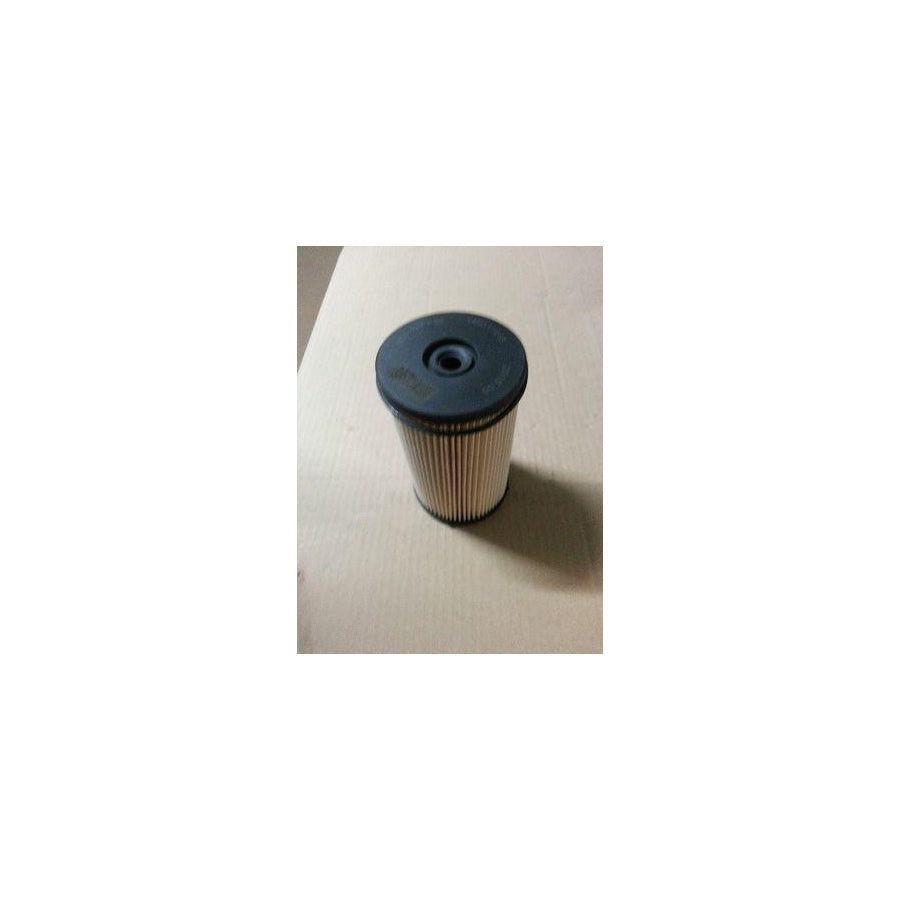 BUGIAD Bsp20943 Fuel Filter