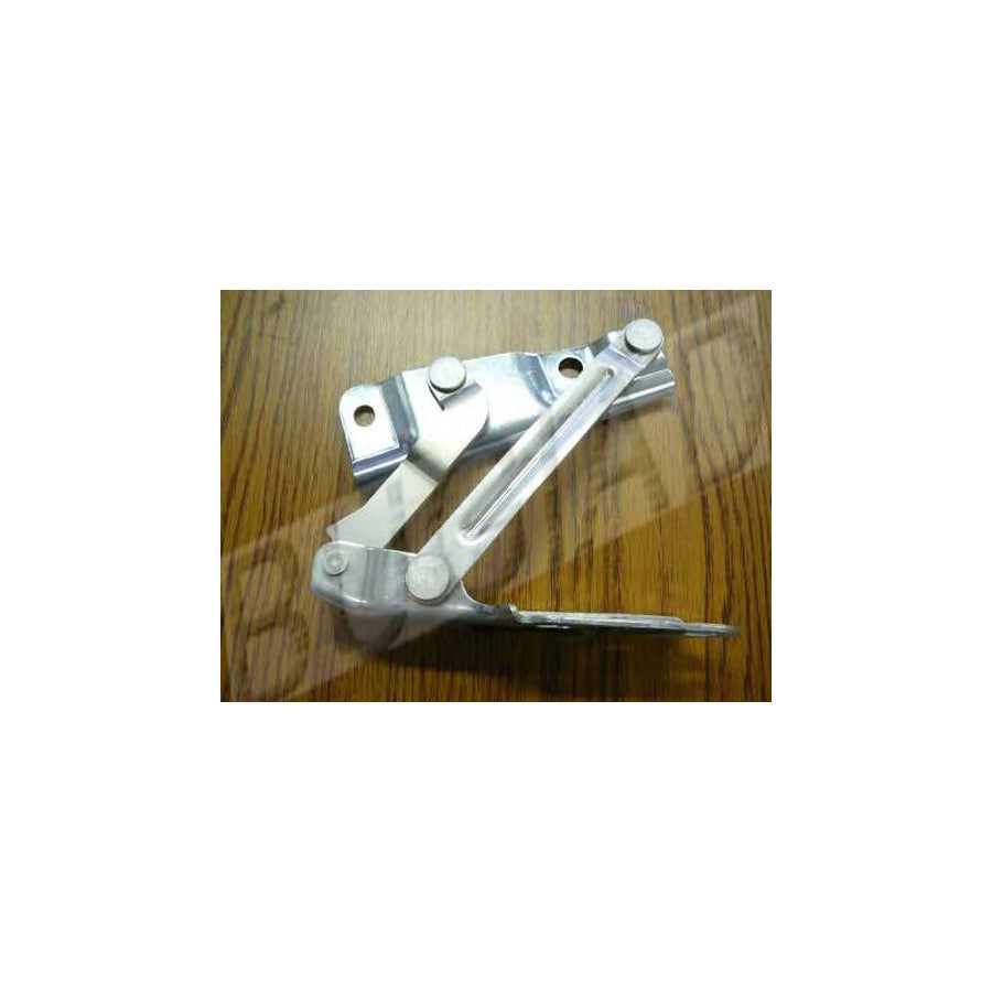 BUGIAD Bsp21000 Hinge, Bonnet