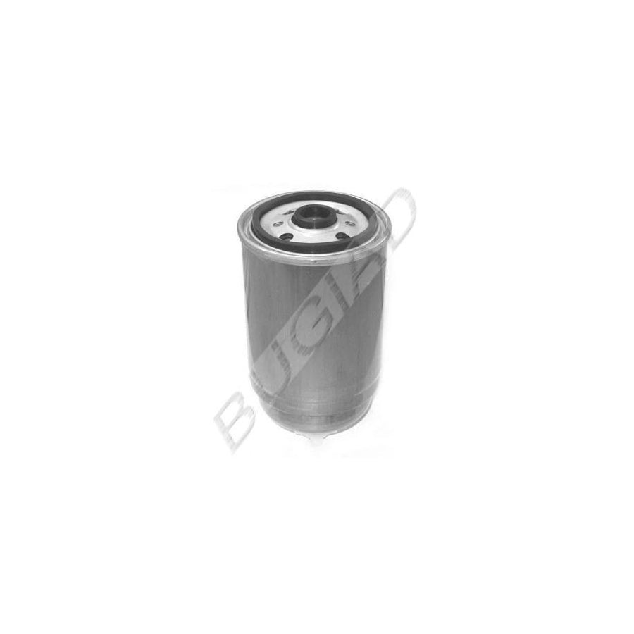 BUGIAD Bsp21020 Fuel Filter