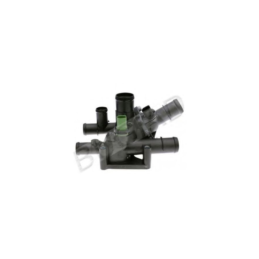 BUGIAD Bsp21028 Thermostat, Coolant