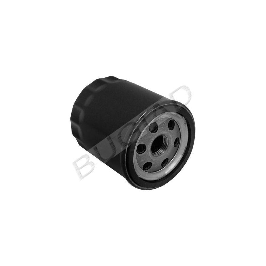 BUGIAD Bsp21223 Oil Filter