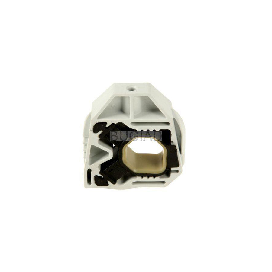 BUGIAD Bsp21256 Support, Cooling Fan