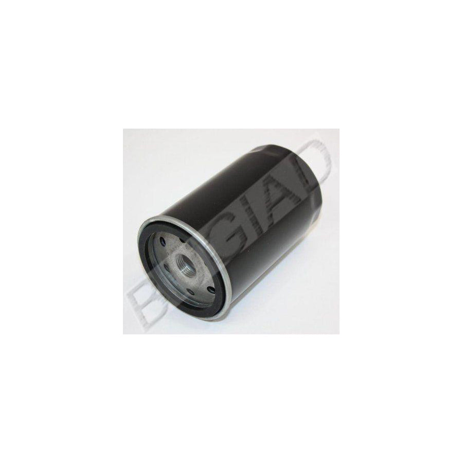 BUGIAD Bsp21274 Oil Filter