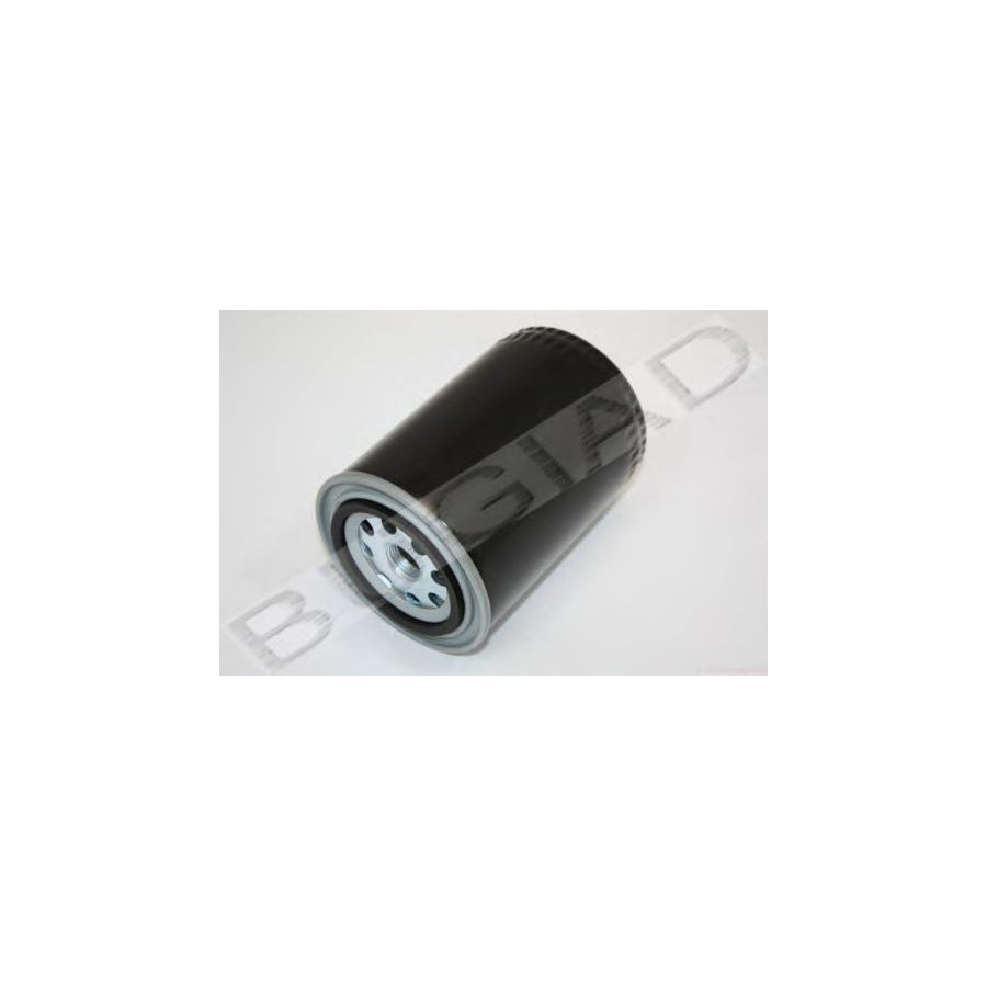 BUGIAD Bsp21435 Oil Filter