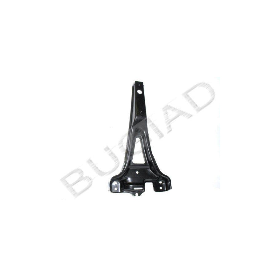 BUGIAD Bsp21582 Support, Radiator Grille