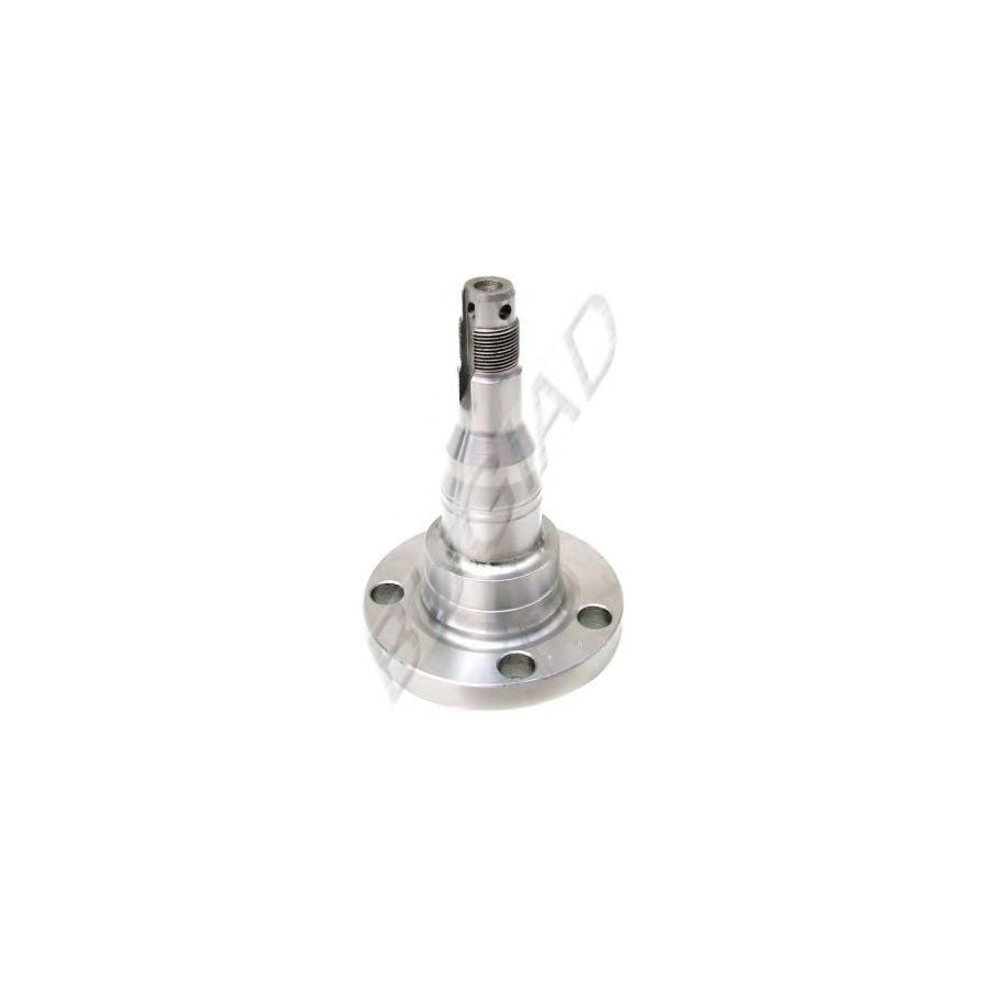 BUGIAD Bsp21588 Bracket, Axle Body