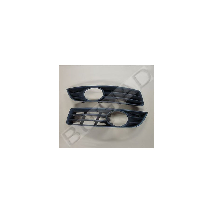 BUGIAD Bsp21591 Bumper Grill for VW Passat