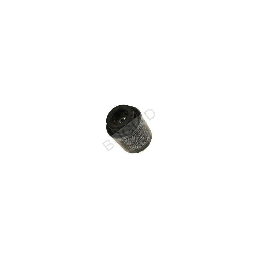 BUGIAD Bsp21679 Oil Filter