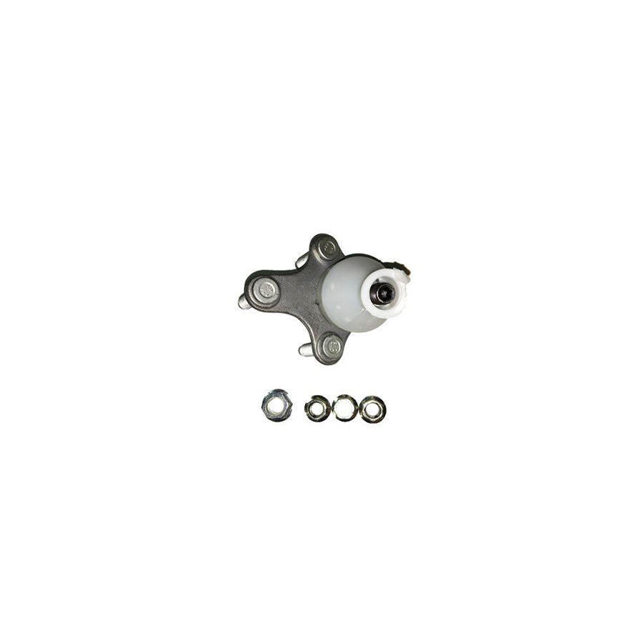 BUGIAD Bsp21816 Ball Joint