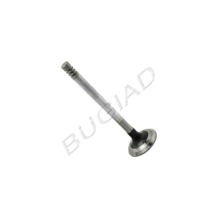 BUGIAD Bsp21890 Inlet Valve