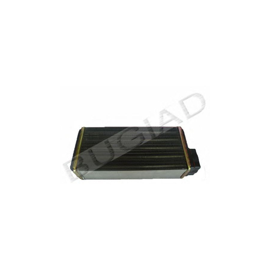 BUGIAD Bsp21923 Heater Matrix