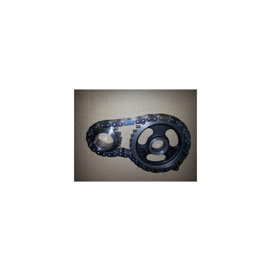 BUGIAD Bsp21931 Timing Chain