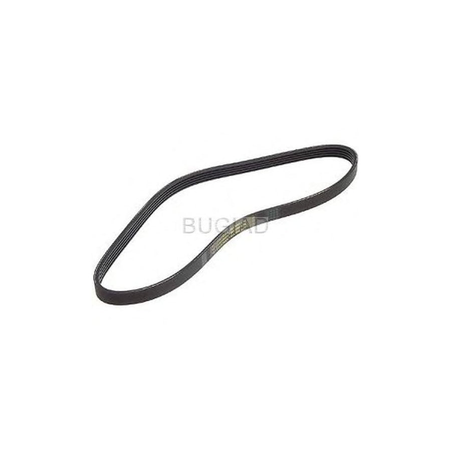 BUGIAD Bsp21992 V-Ribbed Belt