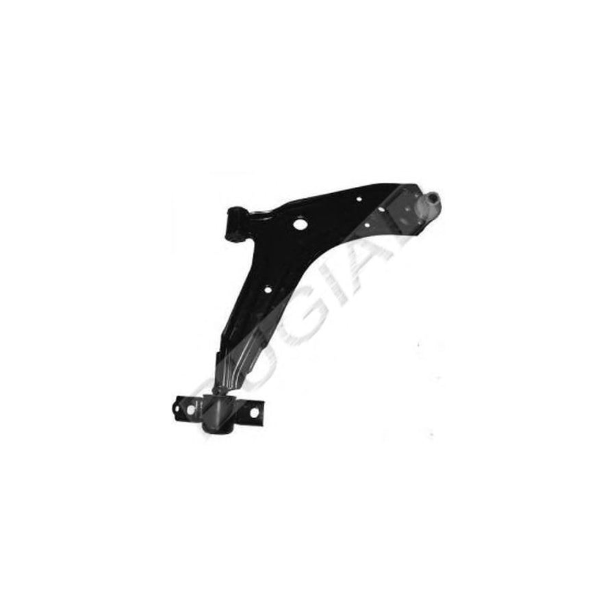 BUGIAD Bsp22149 Suspension Arm