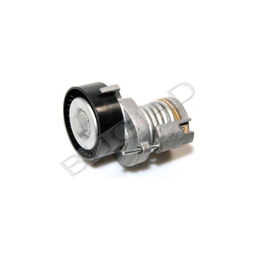 BUGIAD Bsp22271 Tensioner Pulley