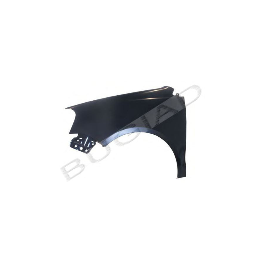 BUGIAD Bsp22516 Wing Fender for VW Polo