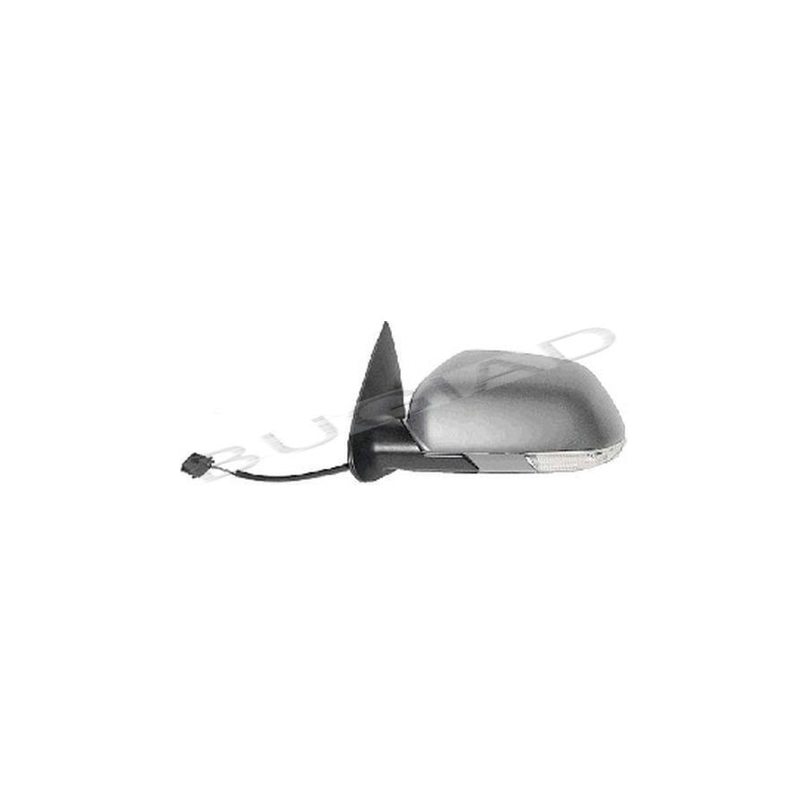 BUGIAD Bsp22602 Wing Mirror