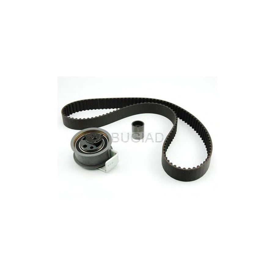 BUGIAD Bsp22756 Timing Belt Kit