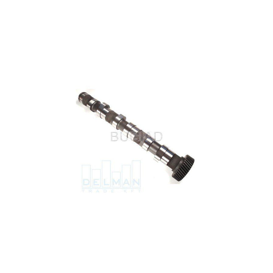 BUGIAD Bsp23272 Camshaft