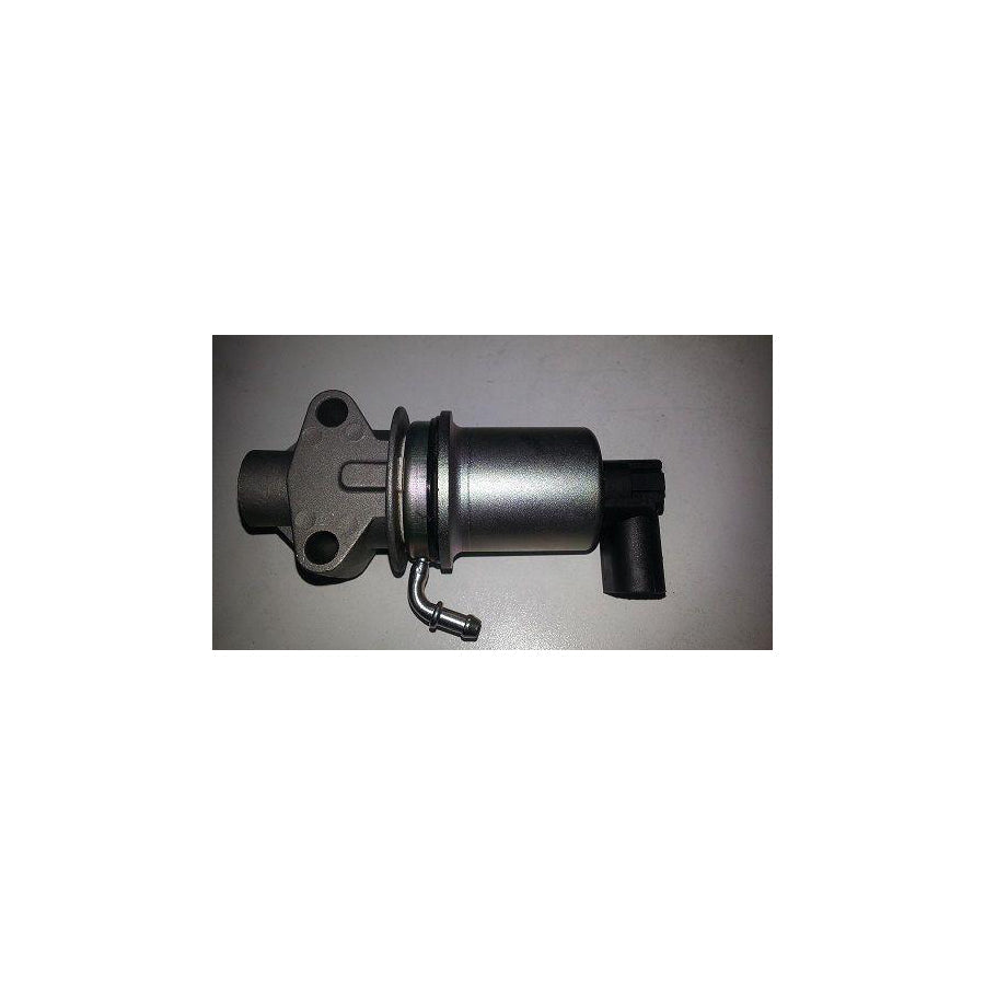 BUGIAD Bsp23298 Egr Valve