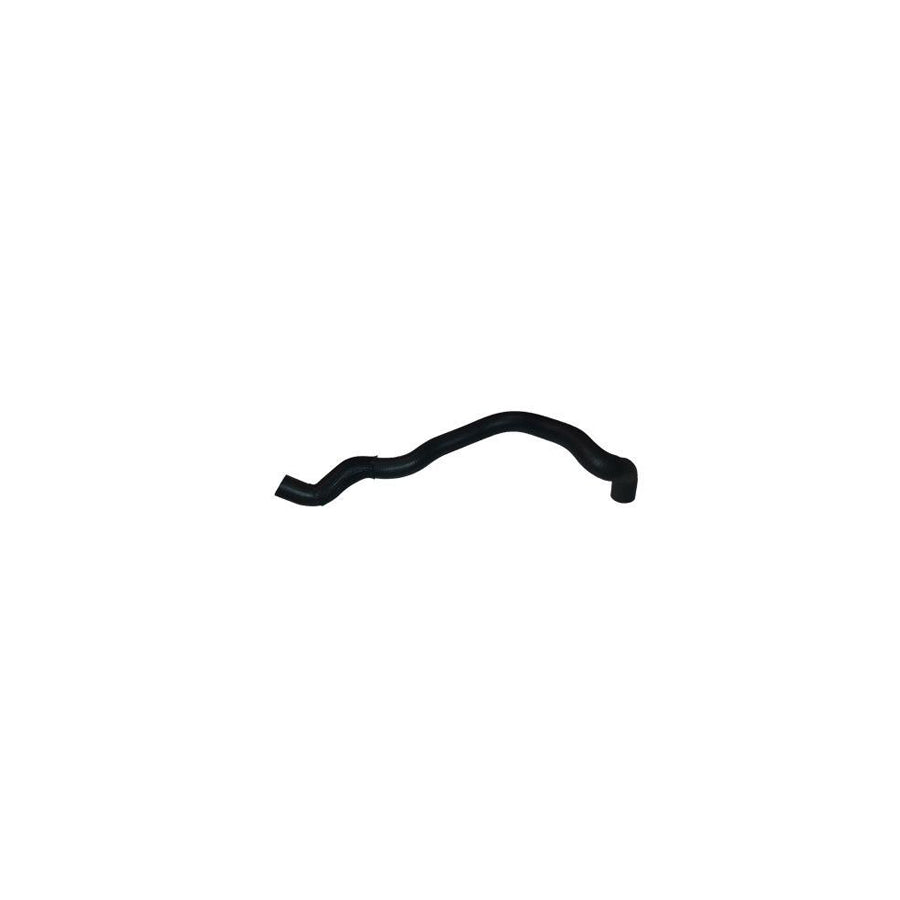BUGIAD Bsp23433 Radiator Hose