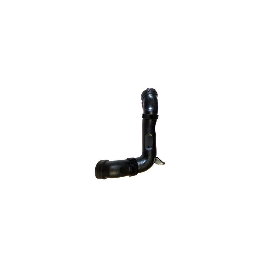 BUGIAD Bsp23445 Intake Pipe, Air Filter