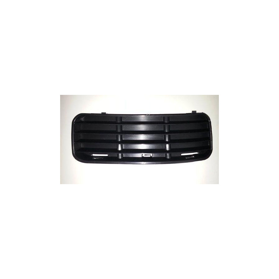 BUGIAD Bsp24052 Bumper Grill for VW Polo