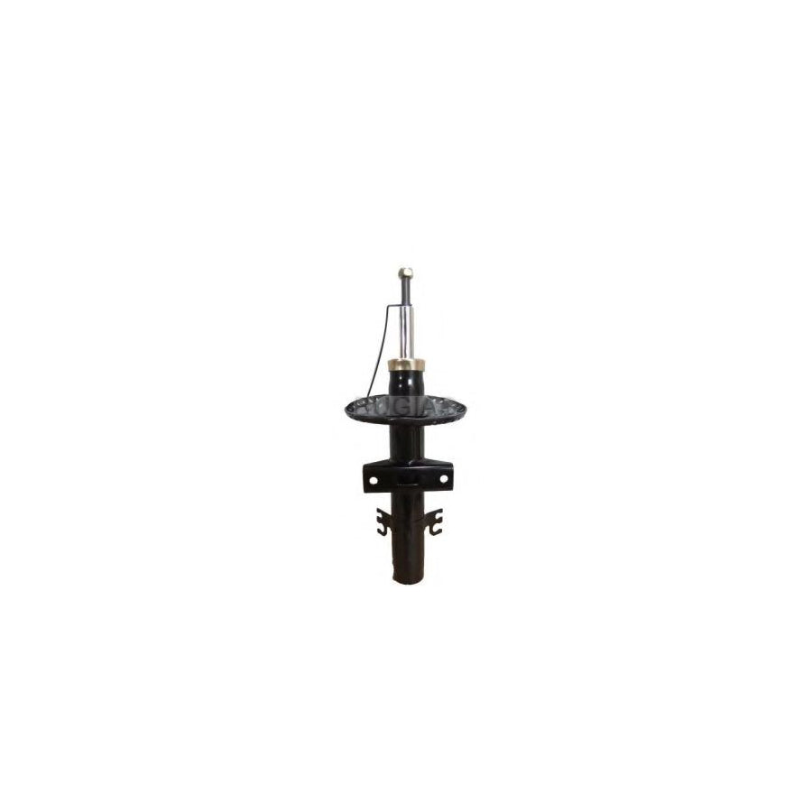 BUGIAD Bsp24251 Shock Absorber