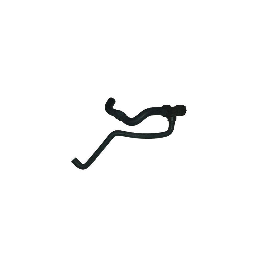 BUGIAD Bsp24293 Radiator Hose
