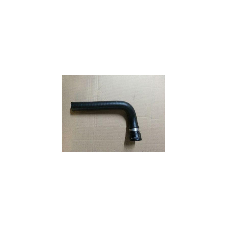 BUGIAD Bsp24294 Radiator Hose
