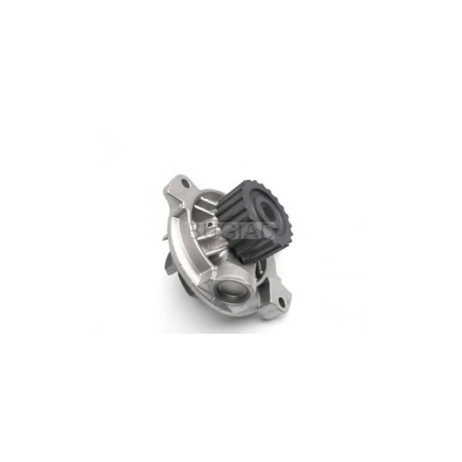 BUGIAD Bsp24347 Water Pump