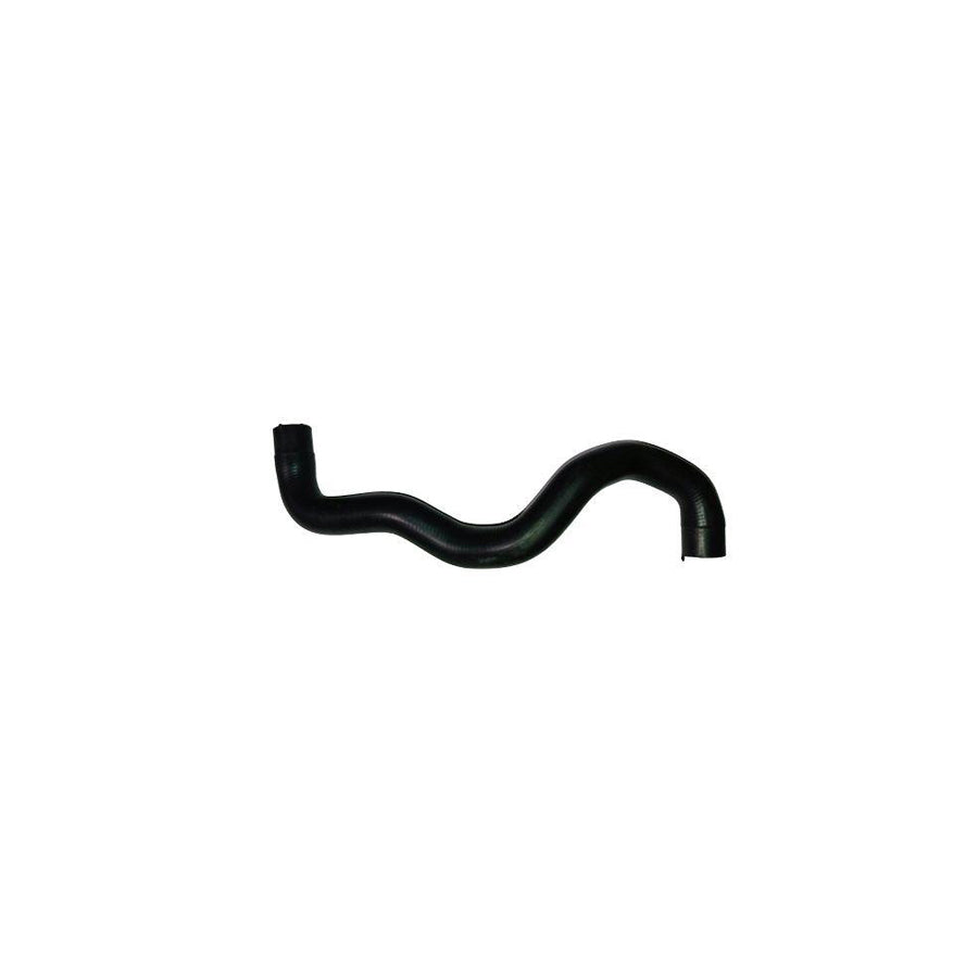 BUGIAD Bsp24364 Radiator Hose