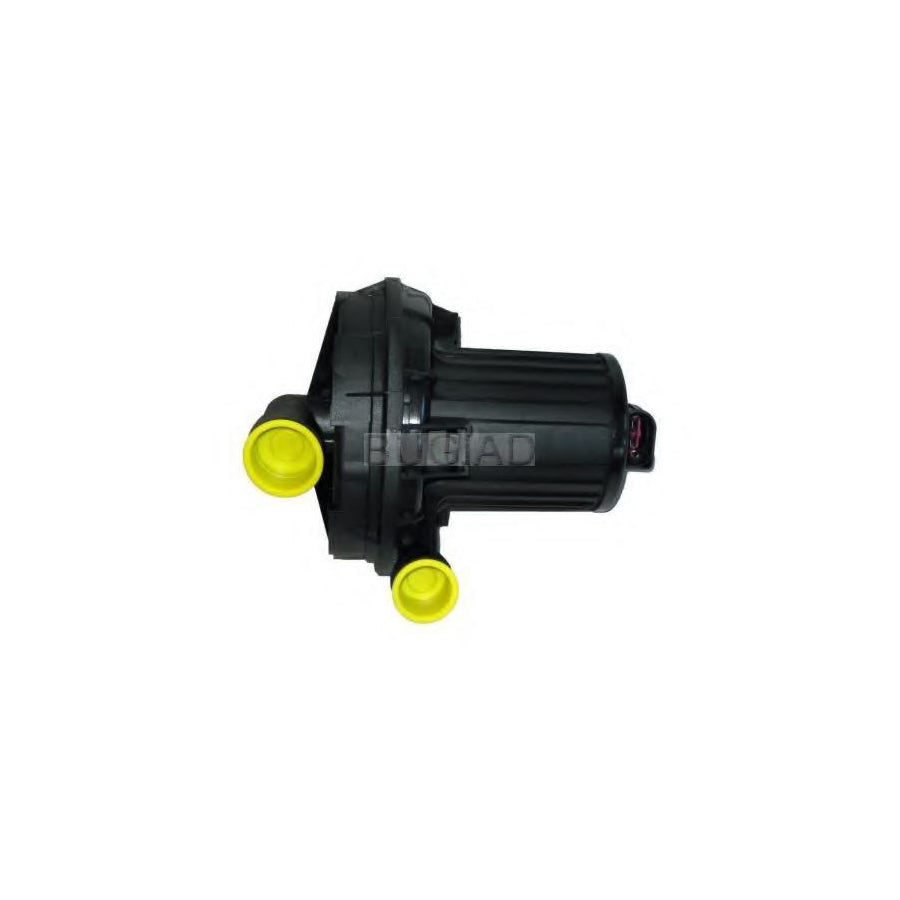 BUGIAD Bsp24381 Secondary Air Pump