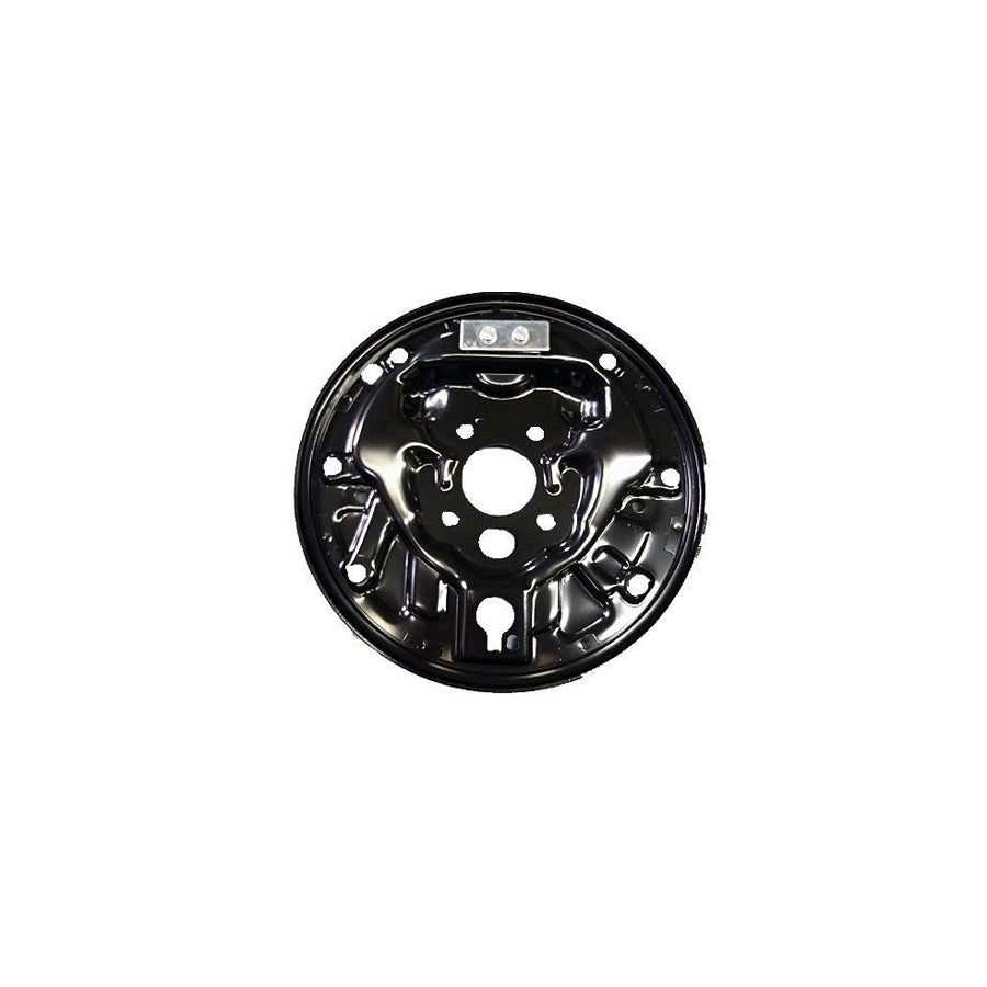 Bugiad BSP24418 Brake Mounting Plate