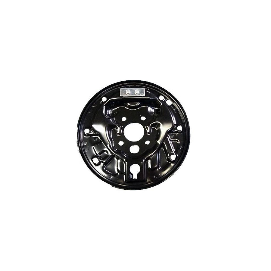Bugiad BSP24446 Brake Mounting Plate