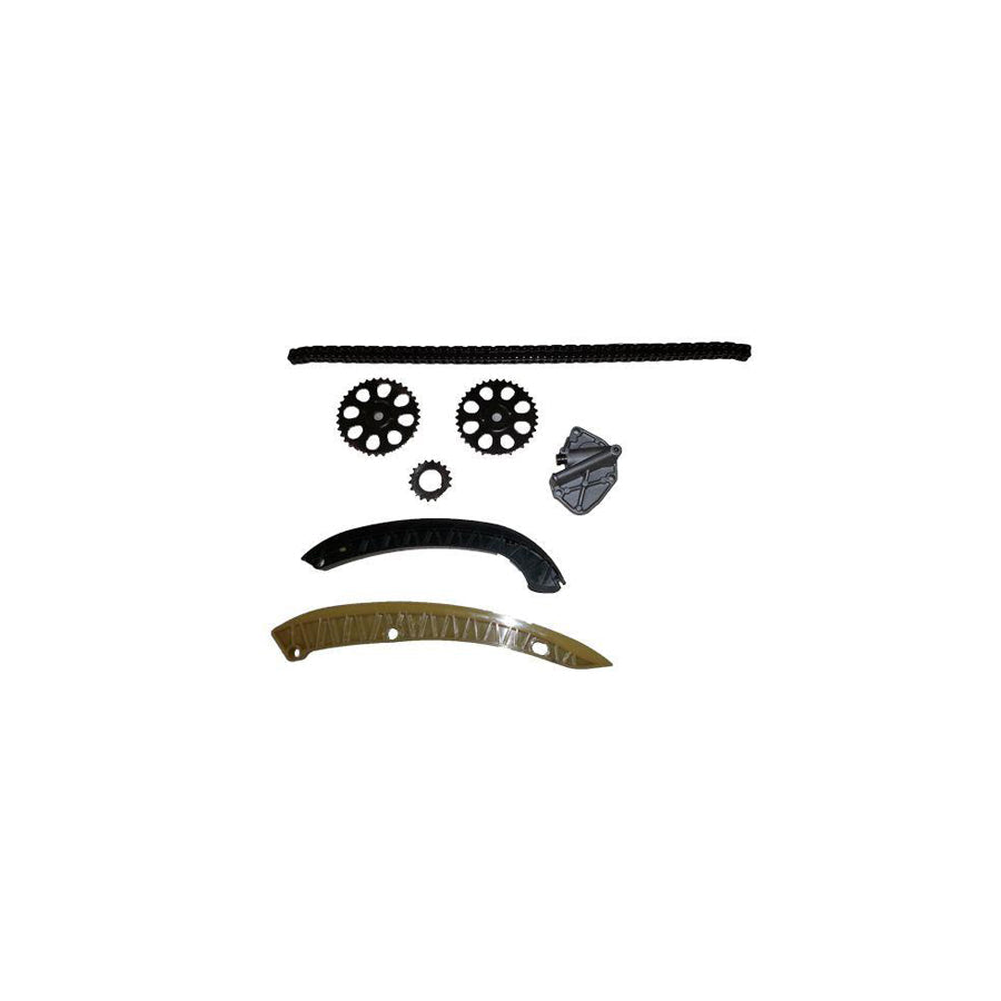 BUGIAD Bsp24578 Timing Chain Kit