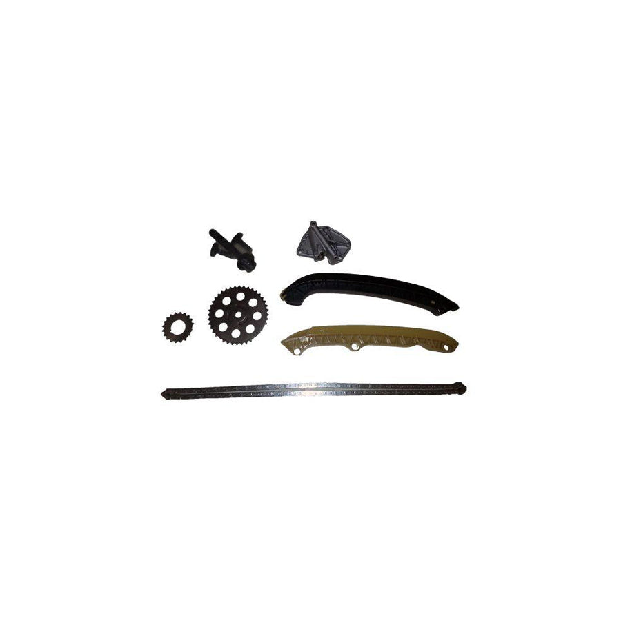 BUGIAD Bsp24580 Timing Chain Kit