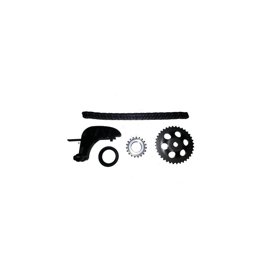 BUGIAD Bsp24581 Timing Chain Kit