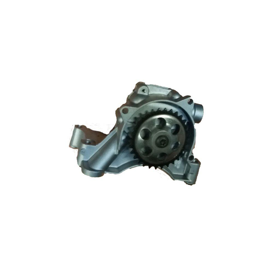 BUGIAD Bsp24613 Oil Pump