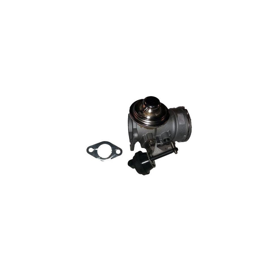 BUGIAD Bsp24683 Egr Valve