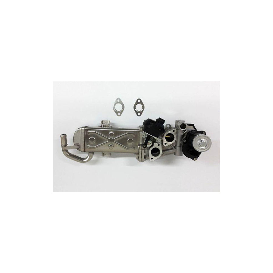 BUGIAD Bsp24721 Egr Module