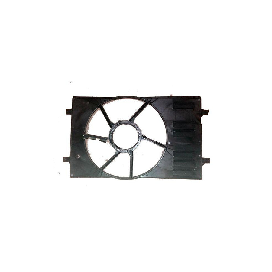 BUGIAD Bsp24775 Fan Housing (Engine Cooling)