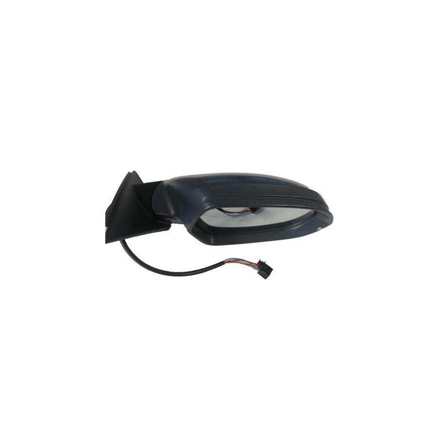 BUGIAD Bsp24862 Wing Mirror for Audi A6