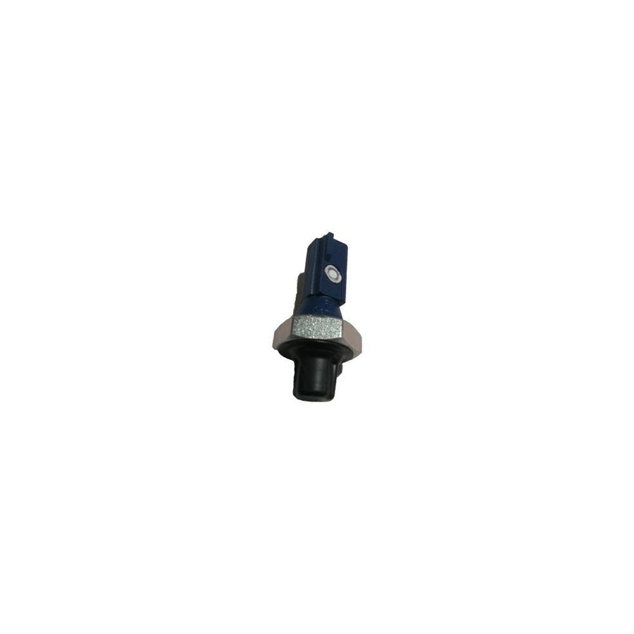 BUGIAD Bsp24898 Oil Pressure Switch