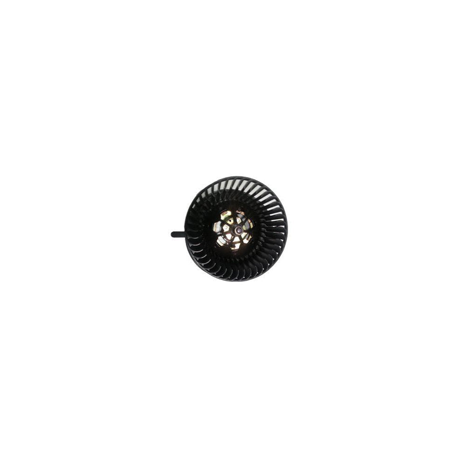 BUGIAD Bsp24910 Interior Blower
