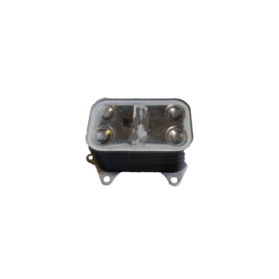 BUGIAD Bsp24975 Engine Oil Cooler