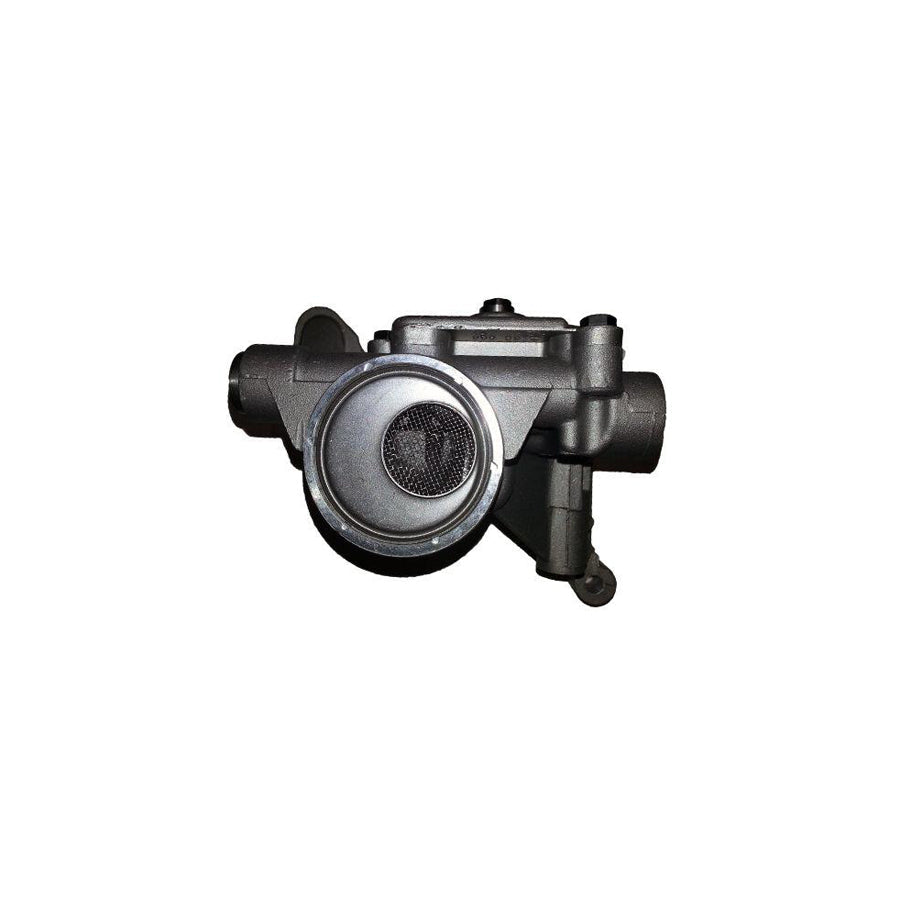 BUGIAD Bsp24981 Oil Pump